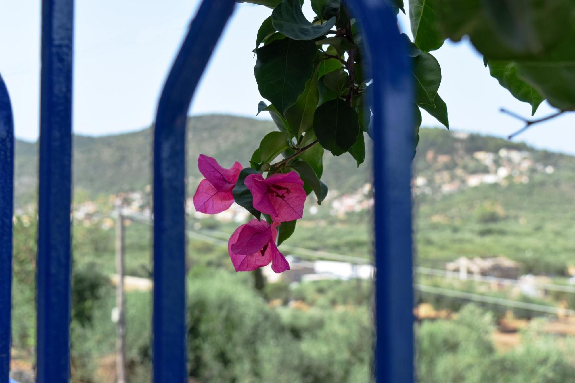 Val Di Compare Apartments Vathí Kültér fotó